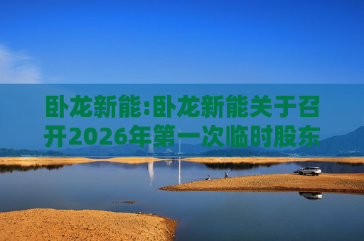 卧龙新能:卧龙新能关于召开2026年第一次临时股东会的通知