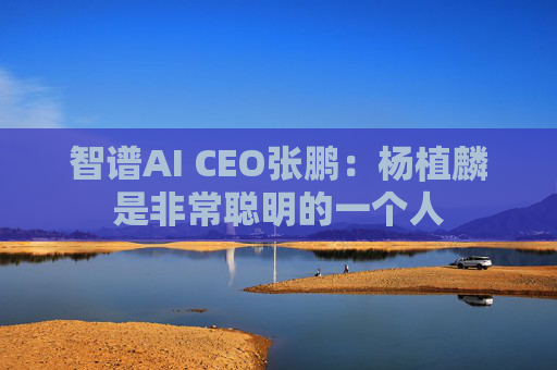 智谱AI CEO张鹏：杨植麟是非常聪明的一个人