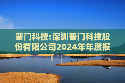普门科技:深圳普门科技股份有限公司2024年年度报告