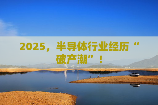 2025，半导体行业经历“破产潮”！