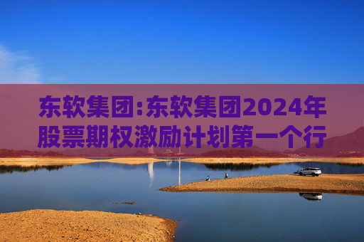 东软集团:东软集团2024年股票期权激励计划第一个行权期2025年第四季度自主行权结果暨股份变动的公告
