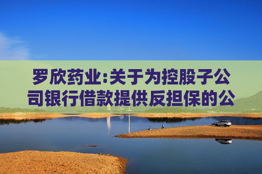 罗欣药业:关于为控股子公司银行借款提供反担保的公告