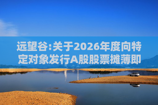 远望谷:关于2026年度向特定对象发行A股股票摊薄即期回报及填补措施和相关主体承诺的公告