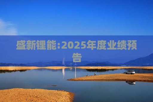 盛新锂能:2025年度业绩预告
