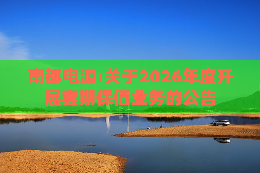 南都电源:关于2026年度开展套期保值业务的公告