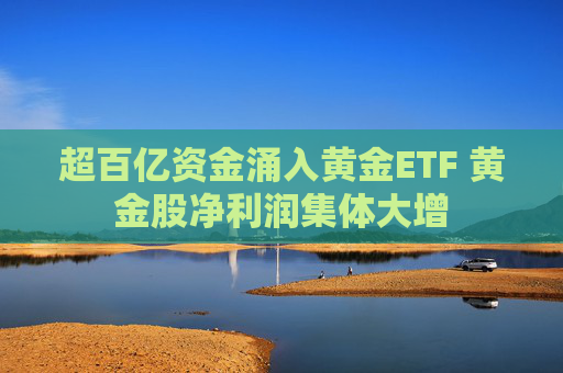 超百亿资金涌入黄金ETF 黄金股净利润集体大增  第1张