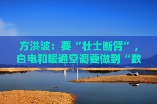 方洪波：要“壮士断臂”，白电和暖通空调要做到“数一数二”