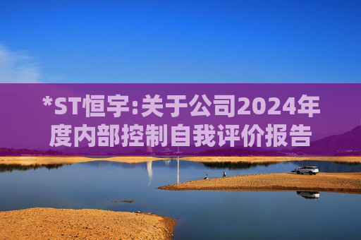 *ST恒宇:关于公司2024年度内部控制自我评价报告  第1张
