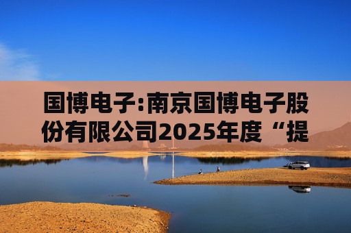 国博电子:南京国博电子股份有限公司2025年度“提质增效重回报”行动方案