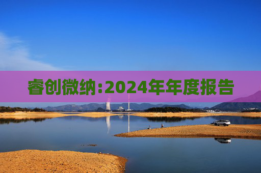 睿创微纳:2024年年度报告