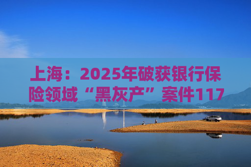 上海：2025年破获银行保险领域“黑灰产”案件117起 持续净化金融生态