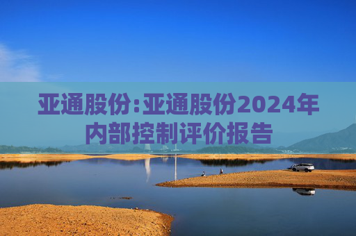 亚通股份:亚通股份2024年内部控制评价报告  第1张