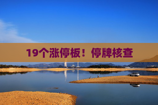 19个涨停板！停牌核查