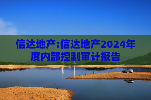 信达地产:信达地产2024年度内部控制审计报告  第1张
