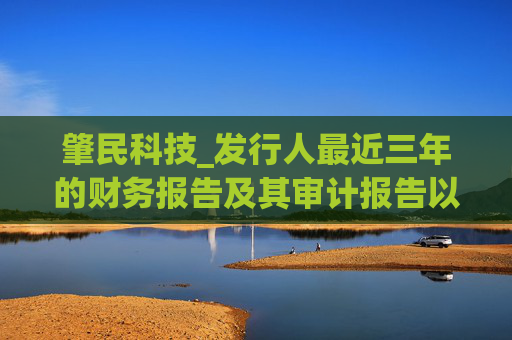 肇民科技_发行人最近三年的财务报告及其审计报告以及最近一期的财务报告(申报稿)