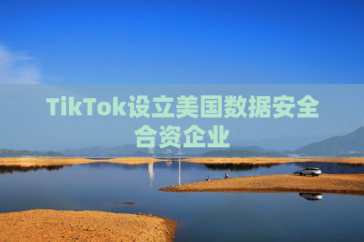 TikTok设立美国数据安全合资企业