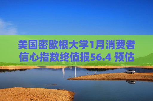 美国密歇根大学1月消费者信心指数终值报56.4 预估为54