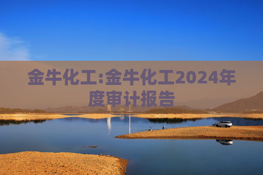 金牛化工:金牛化工2024年度审计报告