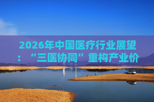 2026年中国医疗行业展望：“三医协同”重构产业价值链