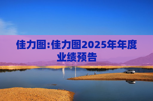 佳力图:佳力图2025年年度业绩预告