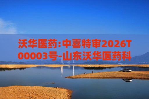 沃华医药:中喜特审2026T00003号-山东沃华医药科技股份有限公司-关联资金占用报告