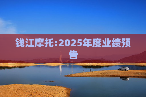 钱江摩托:2025年度业绩预告