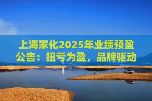 上海家化2025年业绩预盈公告：扭亏为盈，品牌驱动重回增长轨道