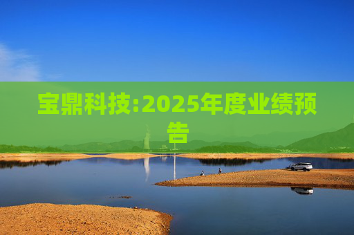 宝鼎科技:2025年度业绩预告