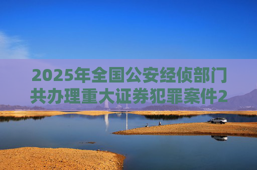 2025年全国公安经侦部门共办理重大证券犯罪案件200余起