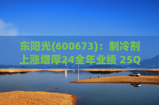 东阳光(600673)：制冷剂上涨增厚24全年业绩 25Q1业绩略超预期 液冷与具身智能共创未来  第1张