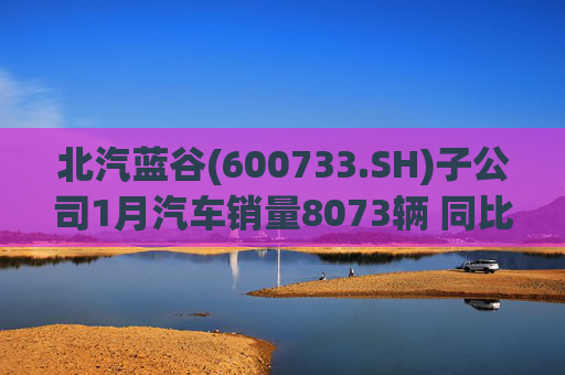 北汽蓝谷(600733.SH)子公司1月汽车销量8073辆 同比增长11.83%