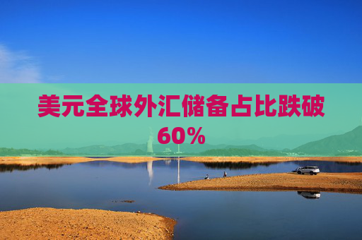 美元全球外汇储备占比跌破60%