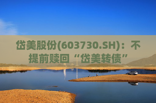 岱美股份(603730.SH)：不提前赎回“岱美转债”