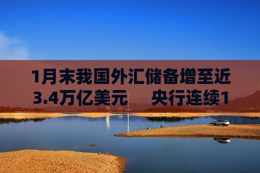 1月末我国外汇储备增至近3.4万亿美元     央行连续15个月增持黄金