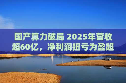 国产算力破局 2025年营收超60亿，净利润扭亏为盈超18亿
