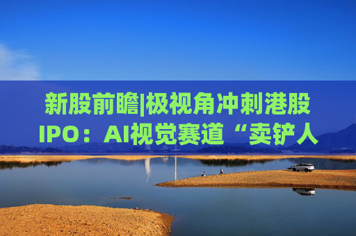新股前瞻|极视角冲刺港股IPO：AI视觉赛道“卖铲人”潜力可期，盈利波动困境难解
