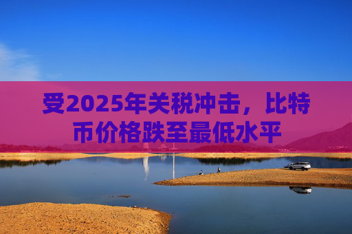 受2025年关税冲击，比特币价格跌至最低水平