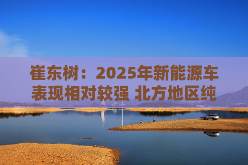 崔东树：2025年新能源车表现相对较强 北方地区纯电动占比提升明显