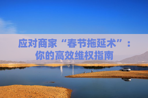 应对商家“春节拖延术”：你的高效维权指南