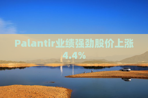 Palantir业绩强劲股价上涨4.4%