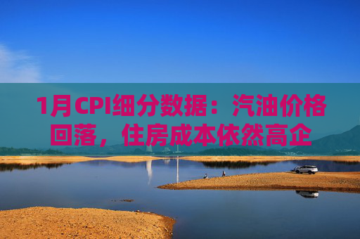 1月CPI细分数据：汽油价格回落，住房成本依然高企  第1张