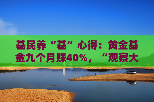 基民养“基”心得：黄金基金九个月赚40%，“观察大佬两年才敢跟投”