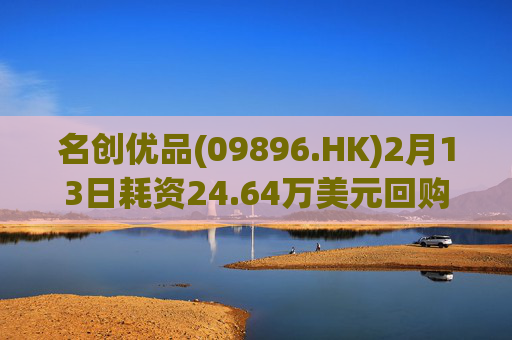 名创优品(09896.HK)2月13日耗资24.64万美元回购5.11万股