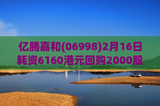 亿腾嘉和(06998)2月16日耗资6160港元回购2000股