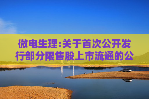 微电生理:关于首次公开发行部分限售股上市流通的公告