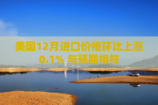 美国12月进口价格环比上涨0.1% 与预期相符