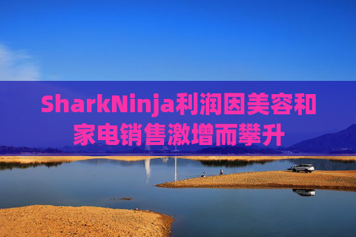 SharkNinja利润因美容和家电销售激增而攀升