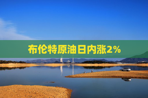 布伦特原油日内涨2%