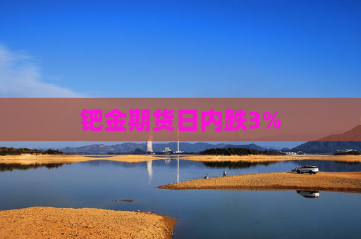 钯金期货日内跌3%