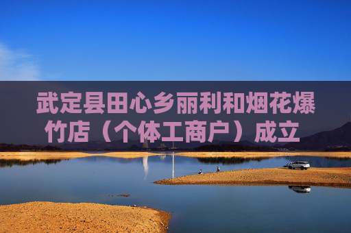 武定县田心乡丽利和烟花爆竹店（个体工商户）成立 注册资本20万人民币